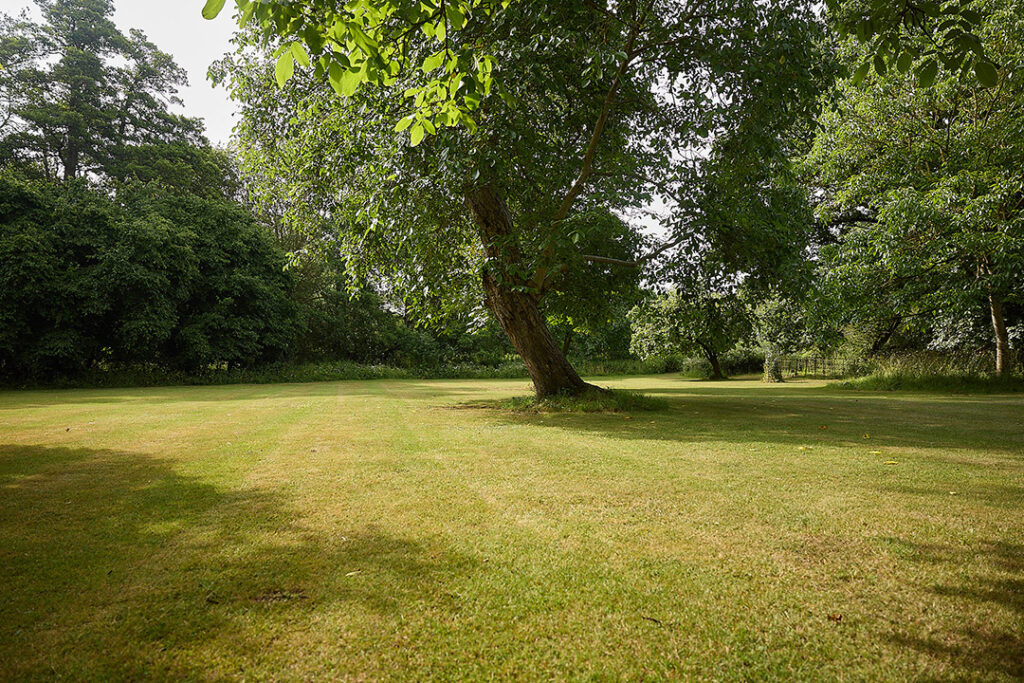 BigTopStudios_EssexFarm (5)